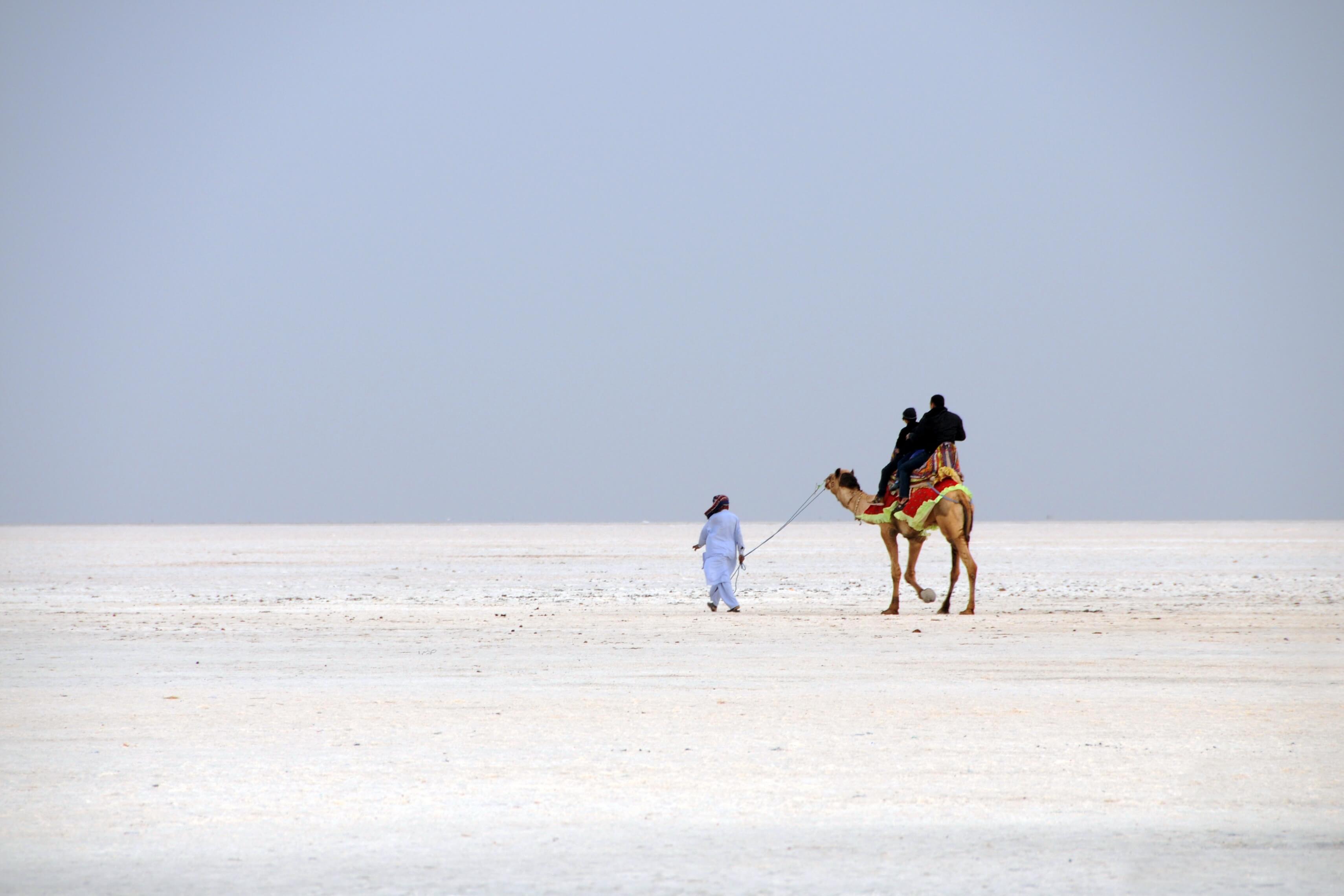 White Salt Desert of Kutch 1